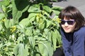 Young girl with sunglasses looking at flowers of homegrown mustard