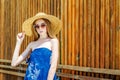 Young girl in sunglasses in a straw hat on a background of a wooden wall. Summer mood, relaxation Royalty Free Stock Photo