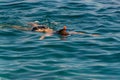 Young girl swiming in the sea Royalty Free Stock Photo