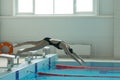 Young girl swimmer, that jumping and diving into indoor sport swimming pool. Royalty Free Stock Photo