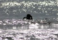 Young Girl Swimming in Ocean