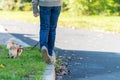 Young girl take the dog for walkies Royalty Free Stock Photo