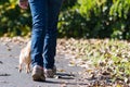 Young girl take the dog for walkies Royalty Free Stock Photo