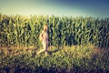 Young girl is taking a walk on a field, summer time Royalty Free Stock Photo