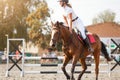 Young girl tapping horse after show jumping course Royalty Free Stock Photo