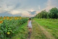 Young girl with a tattoo with a phone in her hands in a light T-shirt and a skirt is walking along a rural road between a field Royalty Free Stock Photo