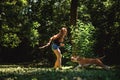 Young girl teasing her running dog with a branch Royalty Free Stock Photo