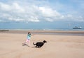 young girl throwing a tennis ball to her dog on the sunny beach Royalty Free Stock Photo