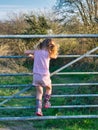 A young girl of toddler age climbing a farm field gate in her wellington boots.