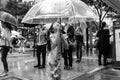 A Young Girl Holding an Umbrella in the Rain