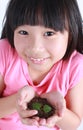 Young girl with two hands holding sapling soil. Royalty Free Stock Photo