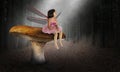 Imp, Pixie, Imagination, Child, Nature, Woods Royalty Free Stock Photo