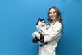 young girl veterinarian in uniform holds black and white cat on blue isolated background, doctor in medical coat