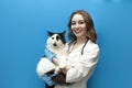 young girl veterinarian in uniform holds black and white cat on blue isolated background, doctor in medical coat