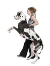 Young girl walking his dog (Great dane 4 years) ha Royalty Free Stock Photo