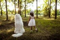 Young girl walking, playing with dog in park at sunset. Royalty Free Stock Photo