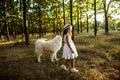 Young girl walking, playing with dog in park at sunset. Royalty Free Stock Photo