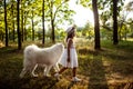 Young girl walking, playing with dog in park at sunset. Royalty Free Stock Photo