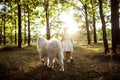 Young girl walking, playing with dog in park at sunset. Royalty Free Stock Photo