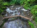 A young girl is walking on a small wooden bridge across the jungle stream