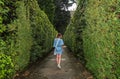 A young girl walks along the alley in the maze of bushes Royalty Free Stock Photo