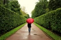 Young girl walks along the green alleys from the bushes in the rain with red umbrella