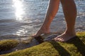 A young girl walks barefoot on the beach. Girl`s legs in the water in the sunlight. Royalty Free Stock Photo