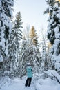 young girl walks in winter forest among tall fir trees covered with snow. Girl is wearing warm jacket Royalty Free Stock Photo