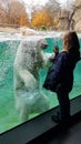 Young girl watches a Polar Bear swimming Royalty Free Stock Photo