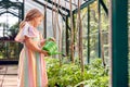 Young Girl Watering Tomato Plants In Greenhouse At Home Royalty Free Stock Photo