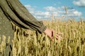 Young girl in wheat field. Runs his hand over ears. his back. life style. . freedom concept. hot summer