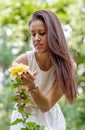 Young girl in a white dress in a summer park smelling a rose Royalty Free Stock Photo