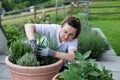 A young girl in a white T-shirt plant a tree in pot at home. Royalty Free Stock Photo