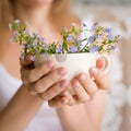 Young girl in a white tank holding a dotted cup with forget-me-not. Flowers in a mug. Hands with flowers. Smiling woman with Royalty Free Stock Photo