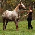 Young girl working with horse, natural horsemanship