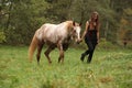 Young girl working with horse, natural horsemanship