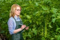 A young girl works in a greenhouse. Industrial cultivation of vegetables.