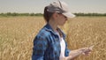 young girl works tablet countryside. concept growing golden wheat field. farming. young woman farmer work with tablet Royalty Free Stock Photo