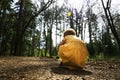 Young girl in yellow dress exploring woodland Royalty Free Stock Photo