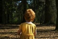 Back of a young girl in a yellow dress exploring woodland Royalty Free Stock Photo