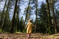 Young girl in yellow dress walking through woodland Royalty Free Stock Photo