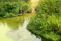 Young girls washing clothes in river