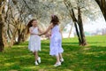 Young girls with blue eyes in white dresses in garden with apple trees blosoming Royalty Free Stock Photo