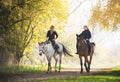 Young girls riding on horseback through the forest Royalty Free Stock Photo