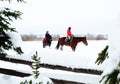 Young girls riding the horses in snowly winter day Royalty Free Stock Photo