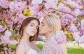 Young girls and spring flowers. Portrait of a two beautiful young women relaxing in sakura flowers. Lesbian couple Royalty Free Stock Photo