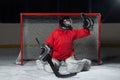 Young goalkeeper catching a puck