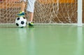 Young goalkeeper on an indoor court