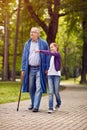 Young granddaughter showing something in the park disabled grand