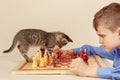 Young grandmaster with tabby kitten plays chess.